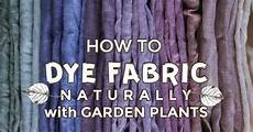 Natural Fabric Dye