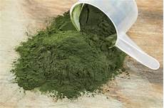 Spirulina Fabric Dye
