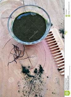 Spirulina Fabric Dye